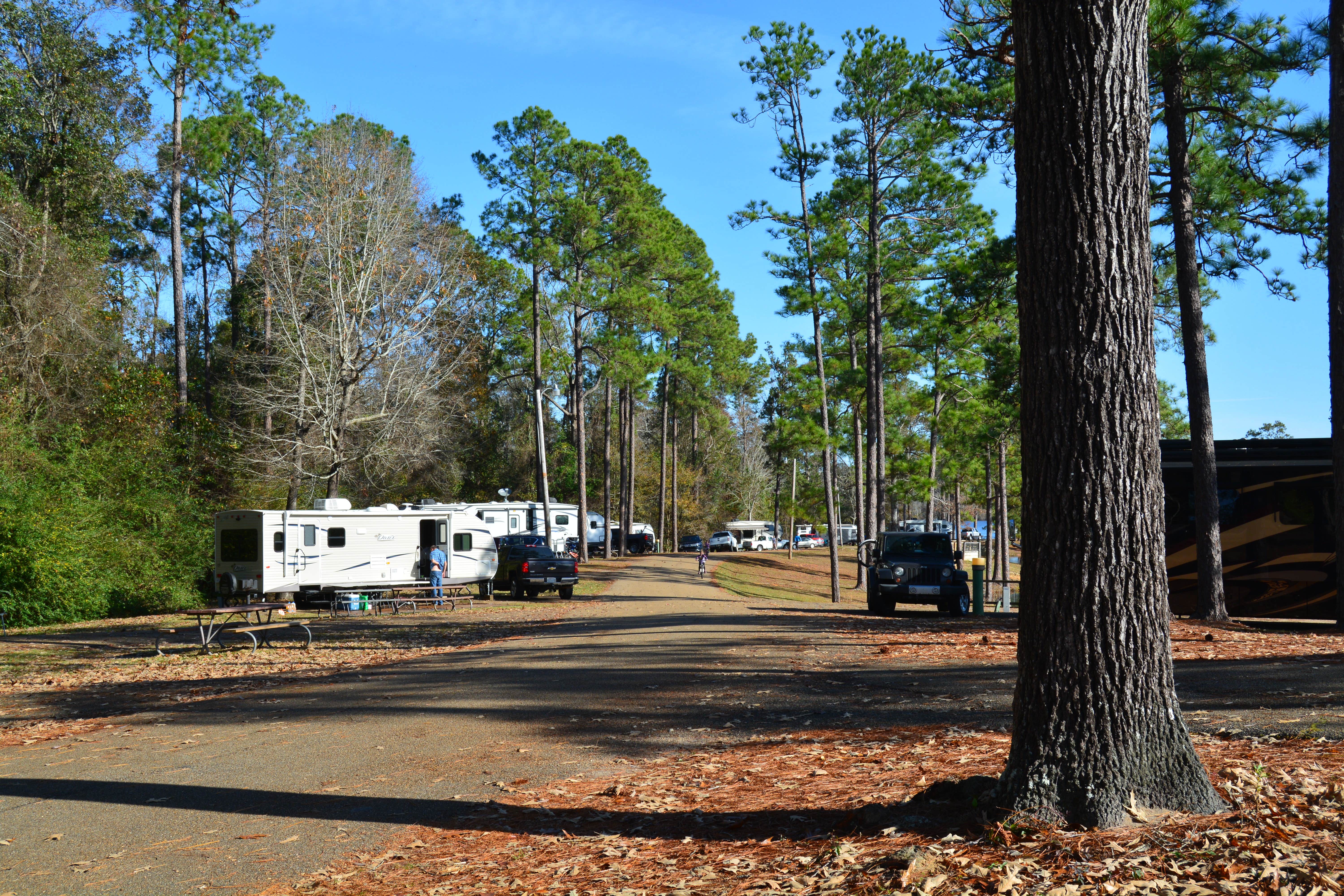 Camper submitted image from Paul B. Johnson State Park Campground - 4