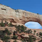 Review photo of Devils Garden Campground — Arches National Park by Christy C., June 30, 2016