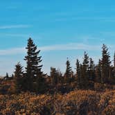 Review photo of Dolly Sods Backcountry by Lucille W., April 13, 2020