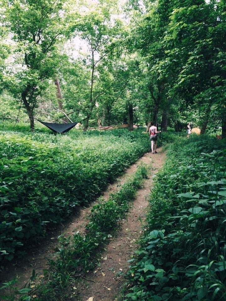 Camping near Lazy Dog Camp Resort: Lake Snowden Campground - Hocking College, Albany, Ohio