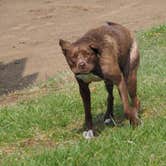 Review photo of Raccoon Creek State Park Campground by Jim  L., April 13, 2020