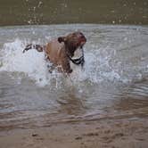 Review photo of Raccoon Creek State Park Campground by Jim  L., April 13, 2020