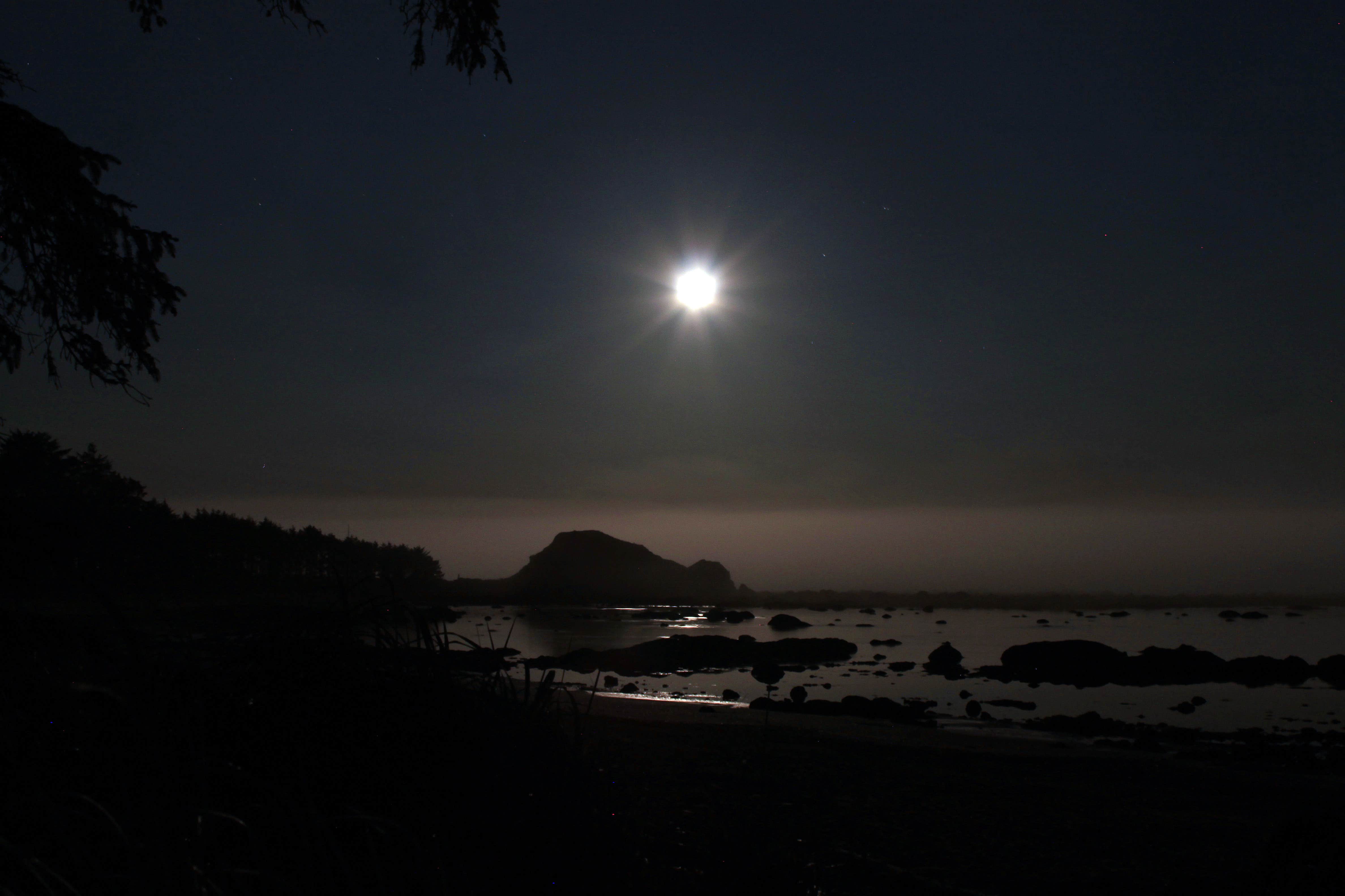 Camper-submitted photo at Sand Point Camp Area — Olympic National Park near La Push, WA