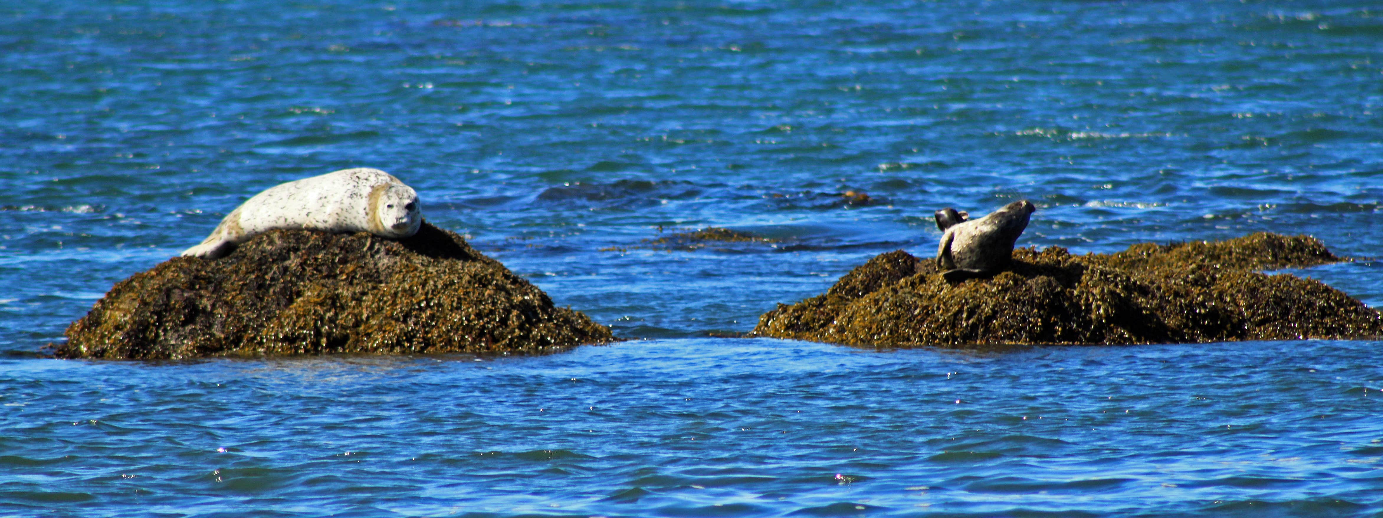 Camper-submitted photo at Sand Point Camp Area — Olympic National Park near Neah Bay, WA