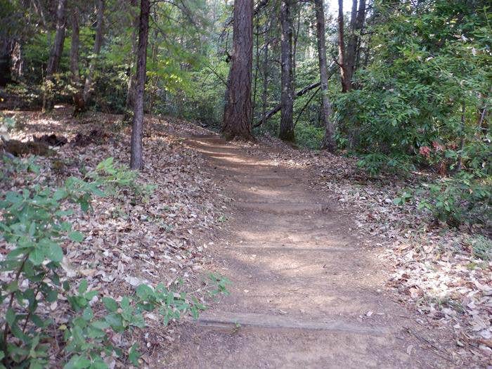 Camper submitted image from Madrone Cove Boat-in Campground - 5