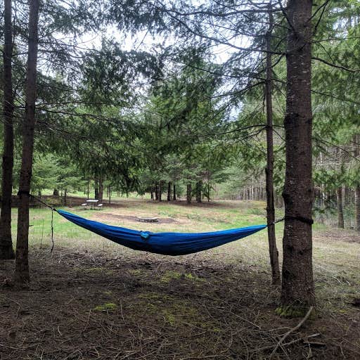 Camper-submitted photo at Healing ponds farm retreat and healing center near Woodland, WA