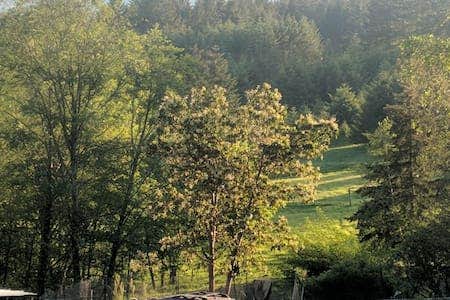 Camper-submitted photo at Healing ponds farm retreat and healing center near Woodland, WA