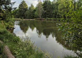 Healing ponds farm retreat and healing center