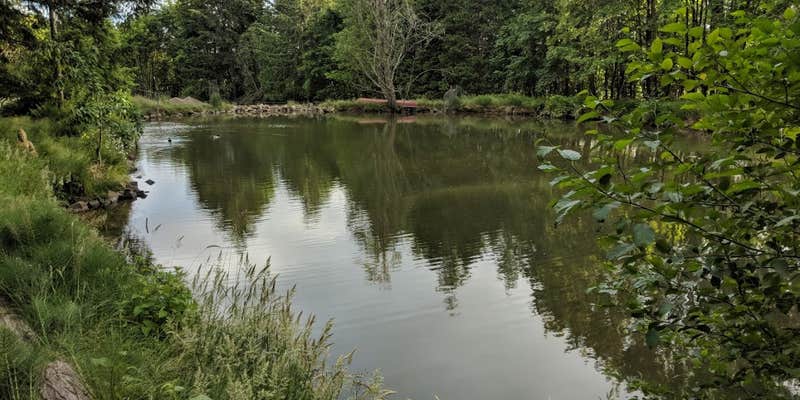 Camper submitted image from Healing ponds farm retreat and healing center