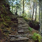 Review photo of Ricketts Glen State Park Campground by Thomas U., April 15, 2020