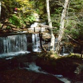 Review photo of Ricketts Glen State Park Campground by Thomas U., April 15, 2020