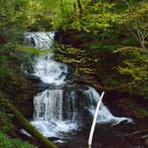 Review photo of Ricketts Glen State Park Campground by Thomas U., April 15, 2020