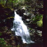 Review photo of Ricketts Glen State Park Campground by Thomas U., April 15, 2020