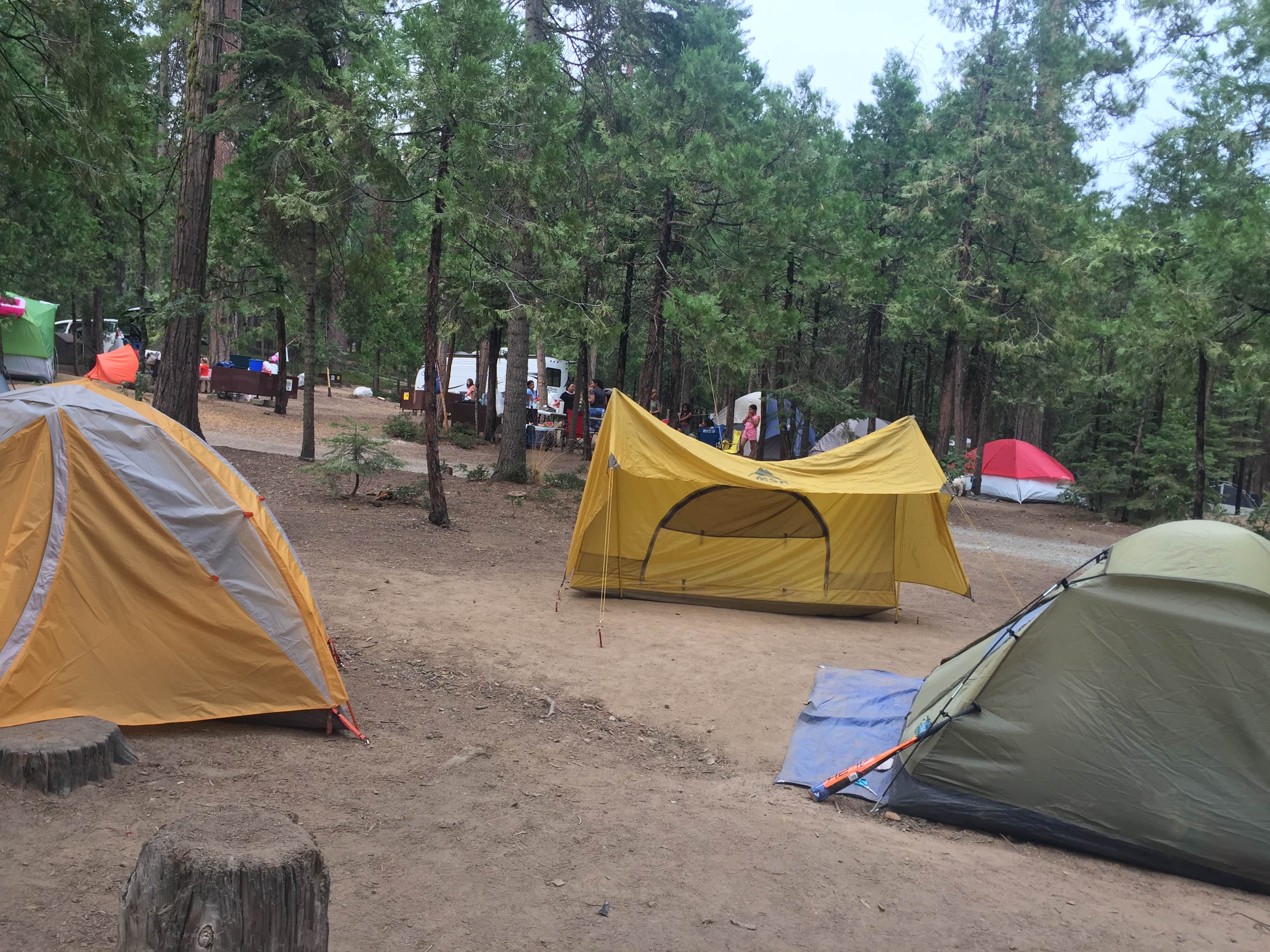 Camper submitted image from Hodgdon Meadow Campground — Yosemite National Park - 3