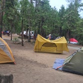 Review photo of Hodgdon Meadow Campground — Yosemite National Park by Leimmi Z., September 13, 2017