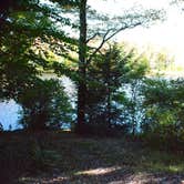 Review photo of Ricketts Glen State Park Campground by Thomas U., April 15, 2020