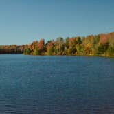 Review photo of Ricketts Glen State Park Campground by Thomas U., April 15, 2020