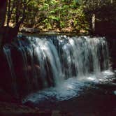 Review photo of Ricketts Glen State Park Campground by Thomas U., April 15, 2020