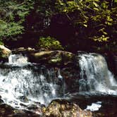 Review photo of Ricketts Glen State Park Campground by Thomas U., April 15, 2020