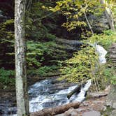 Review photo of Ricketts Glen State Park Campground by Thomas U., April 15, 2020