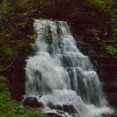 Review photo of Ricketts Glen State Park Campground by Thomas U., April 15, 2020