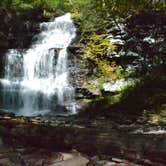 Review photo of Ricketts Glen State Park Campground by Thomas U., April 15, 2020