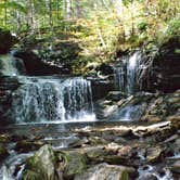 Review photo of Ricketts Glen State Park Campground by Thomas U., April 15, 2020