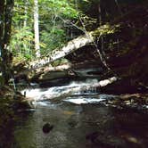 Review photo of Ricketts Glen State Park Campground by Thomas U., April 15, 2020