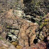 Review photo of Starved Rock Campground — Starved Rock State Park by Thomas U., April 15, 2020