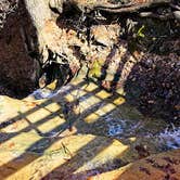 Review photo of Starved Rock Campground — Starved Rock State Park by Thomas U., April 15, 2020