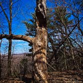 Review photo of Starved Rock Campground — Starved Rock State Park by Thomas U., April 15, 2020