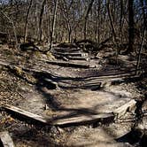 Review photo of Starved Rock Campground — Starved Rock State Park by Thomas U., April 15, 2020