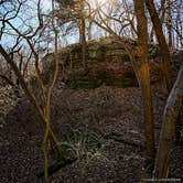 Review photo of Starved Rock Campground — Starved Rock State Park by Thomas U., April 15, 2020