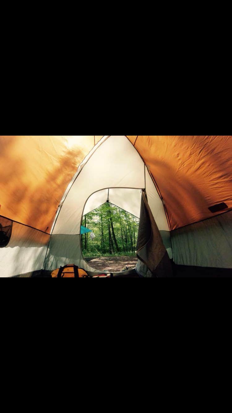 Paige J.'s photo at Tobyhanna State Park Campground near Moscow, PA