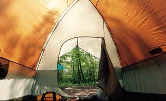 Paige J.'s photo at Tobyhanna State Park Campground near Blakeslee, PA