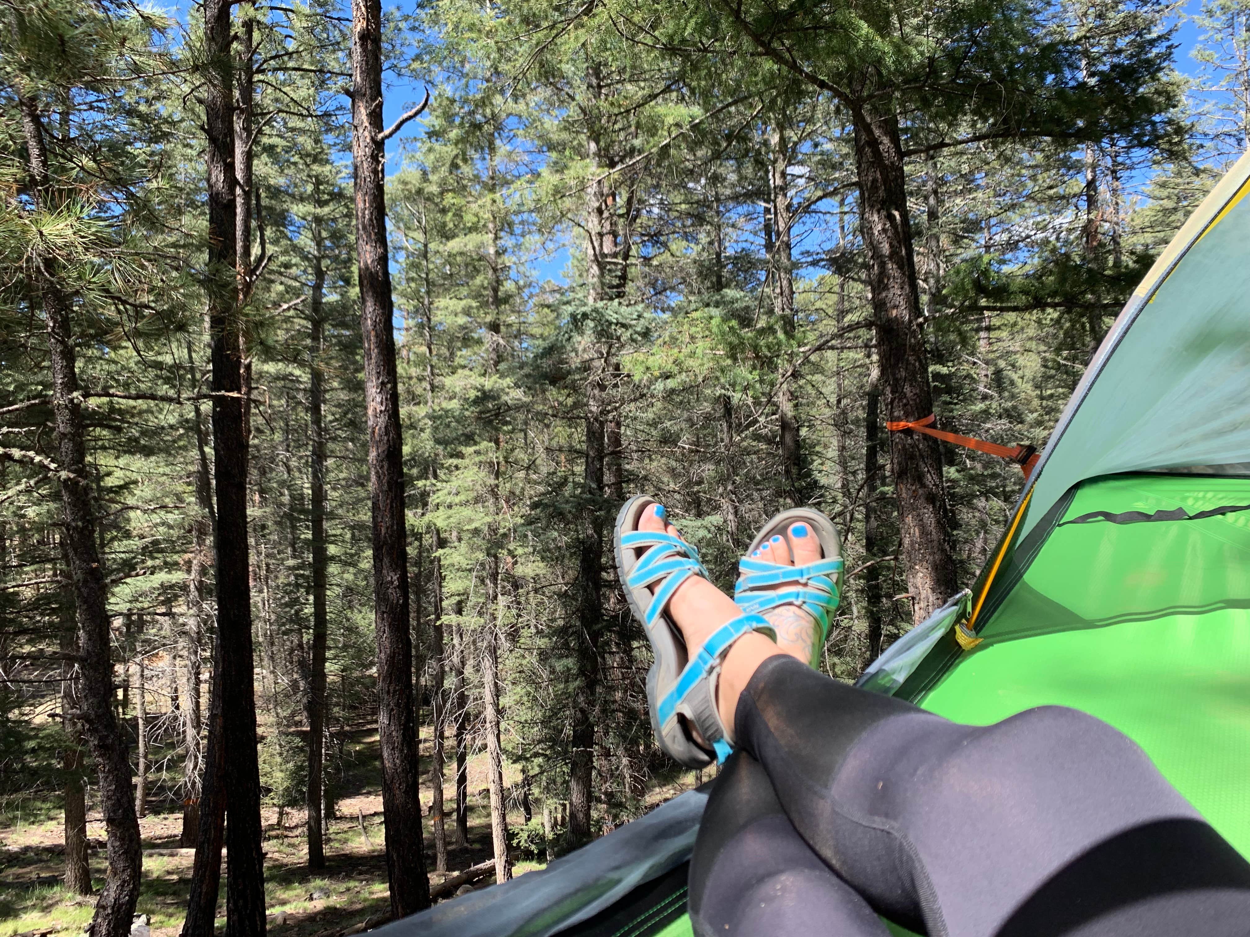 Ginae L.'s photo at Redondo Campground near Jemez Springs, NM