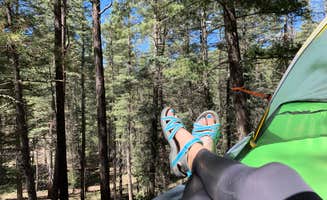 Ginae L.'s photo at Redondo Campground near Cuba, NM