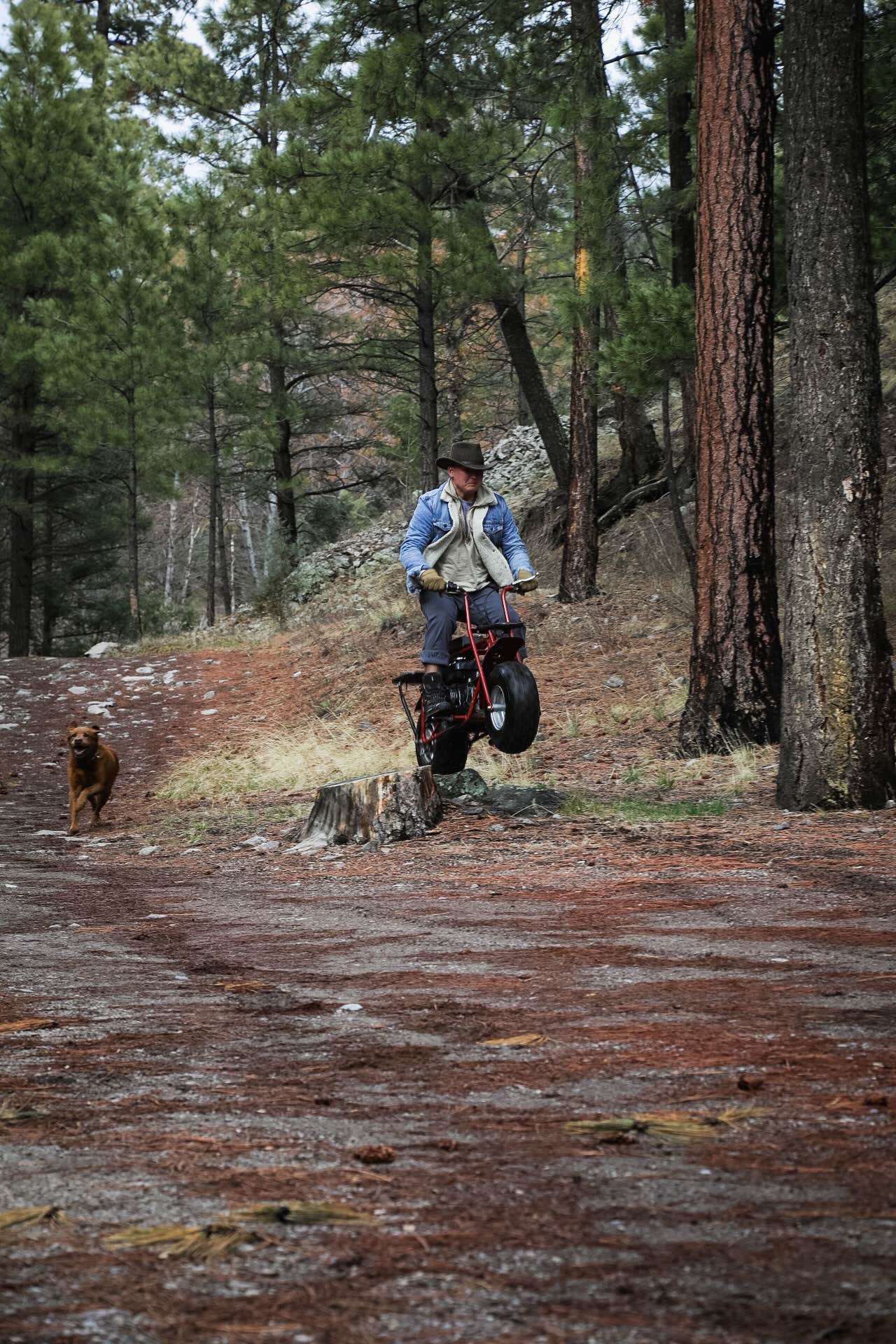Camper-submitted photo at Railroad Canyon Campground near Deming, NM