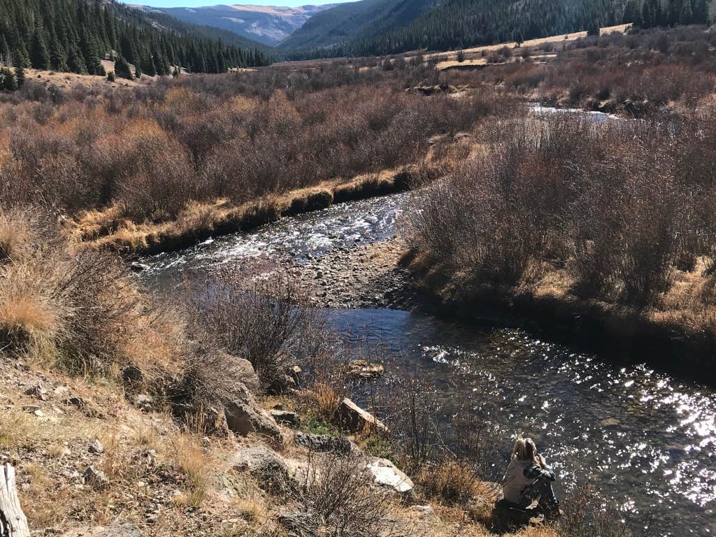 Camping near Big Cimarron: Big Blue, Lake City, Colorado