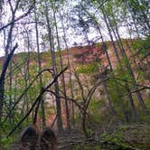 Review photo of Providence Canyon State Park Campground by Rachel G., April 16, 2020