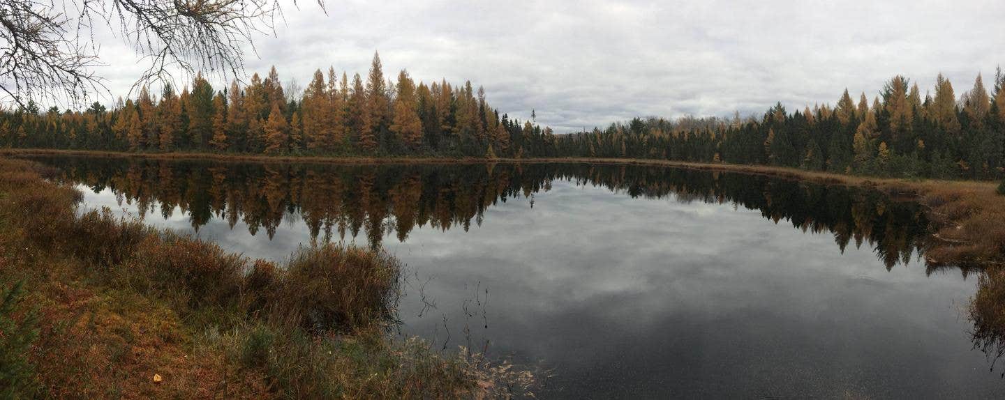 Camper submitted image from Twin Lakes NF Campground - 2