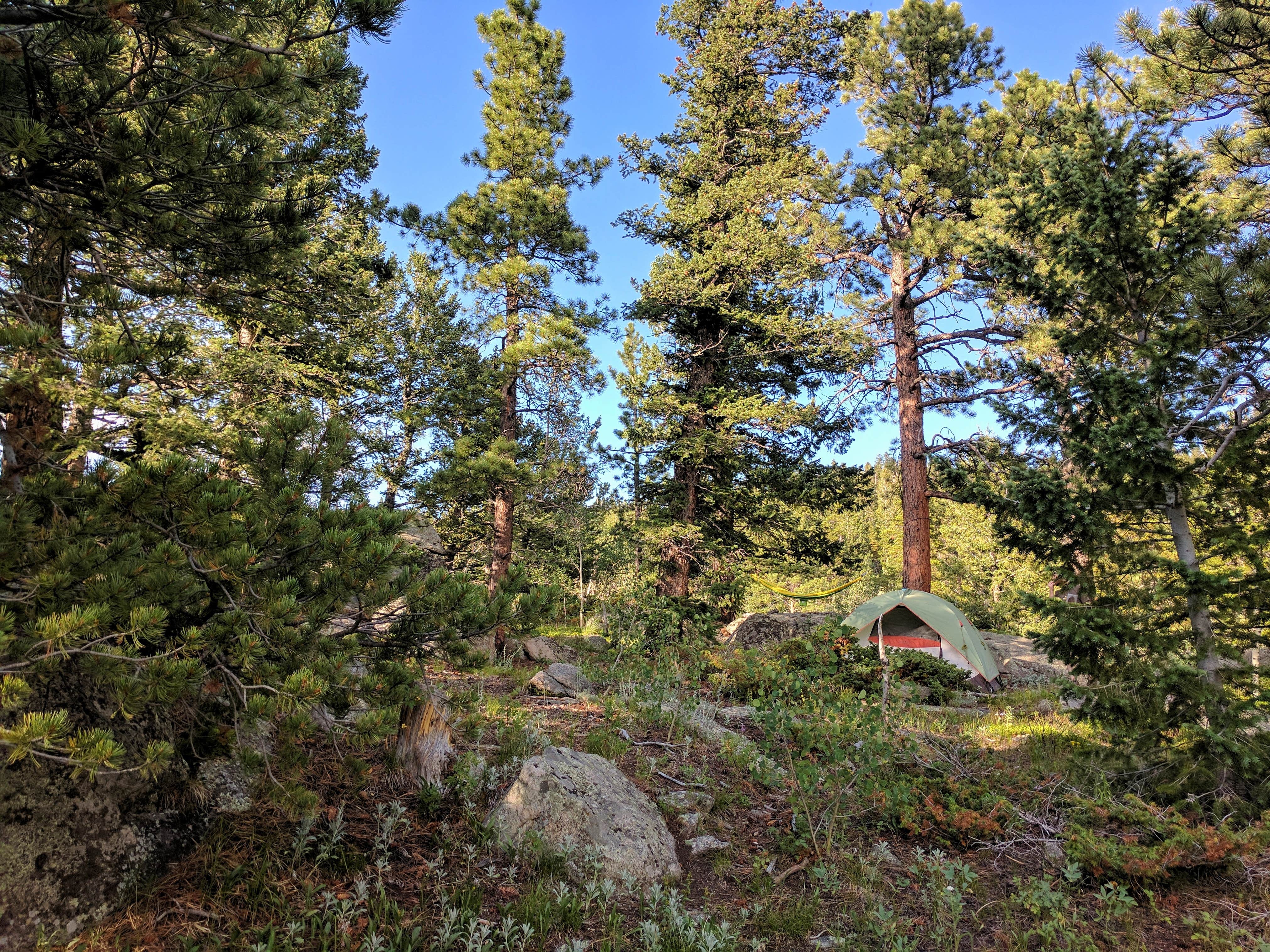 Cassie S.'s photo at Deer Creek Campground — Golden Gate Canyon near Denver, CO