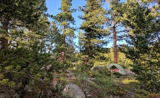 Cassie S.'s photo at Deer Creek Campground — Golden Gate Canyon near Denver, CO