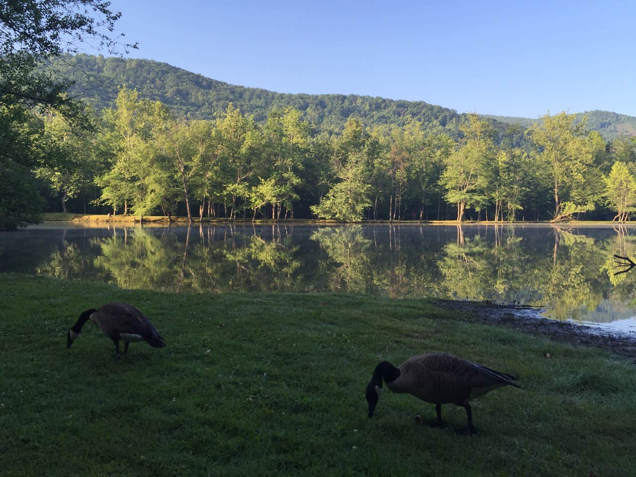 Camper submitted image from Asheville East KOA - 5