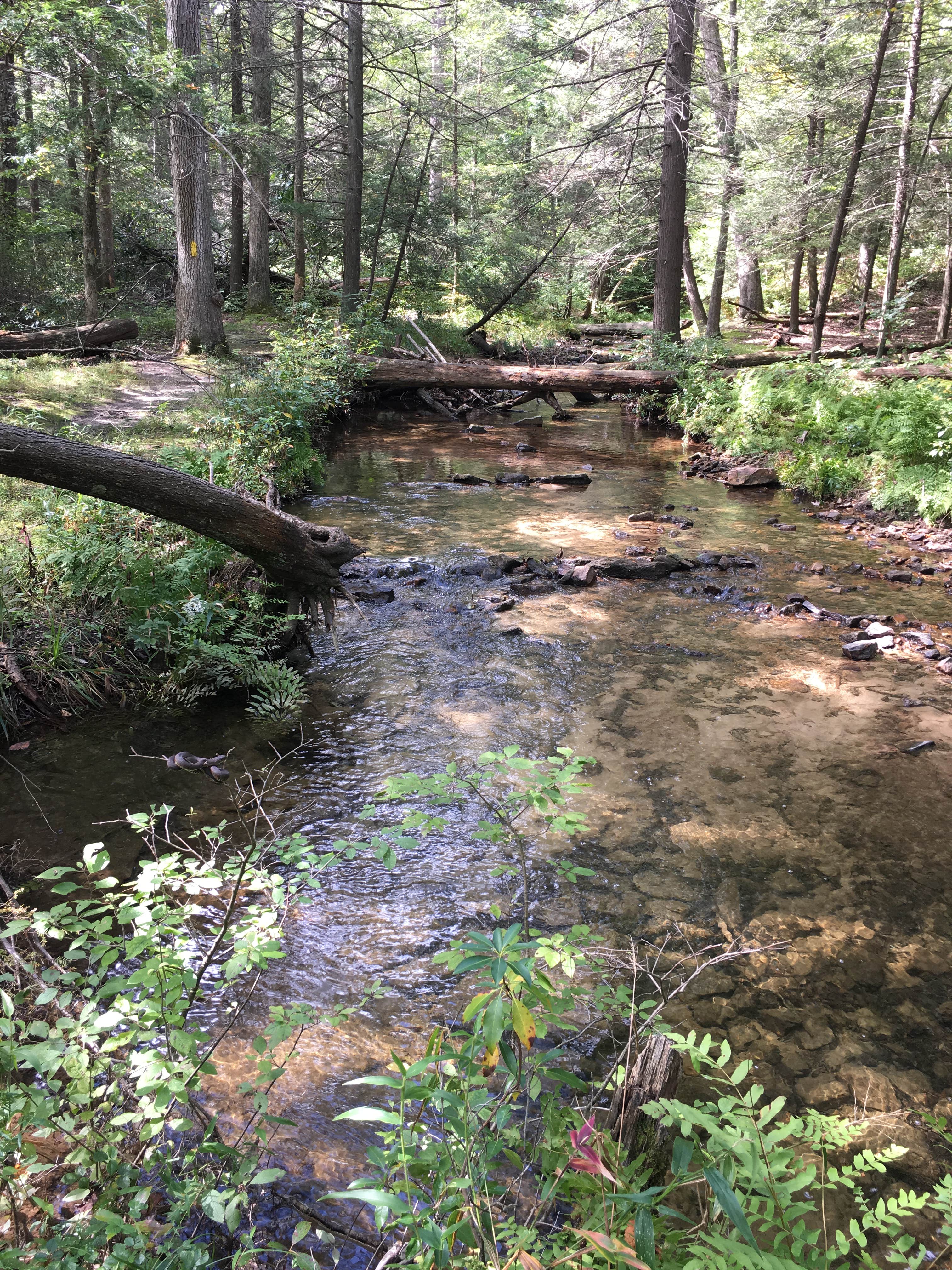 Camper-submitted photo at Cowans Gap State Park Campground near Saxton, PA