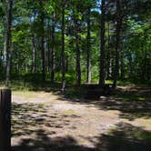 Review photo of Blind Sucker #2 State Forest Campground by Nancy W., September 13, 2017