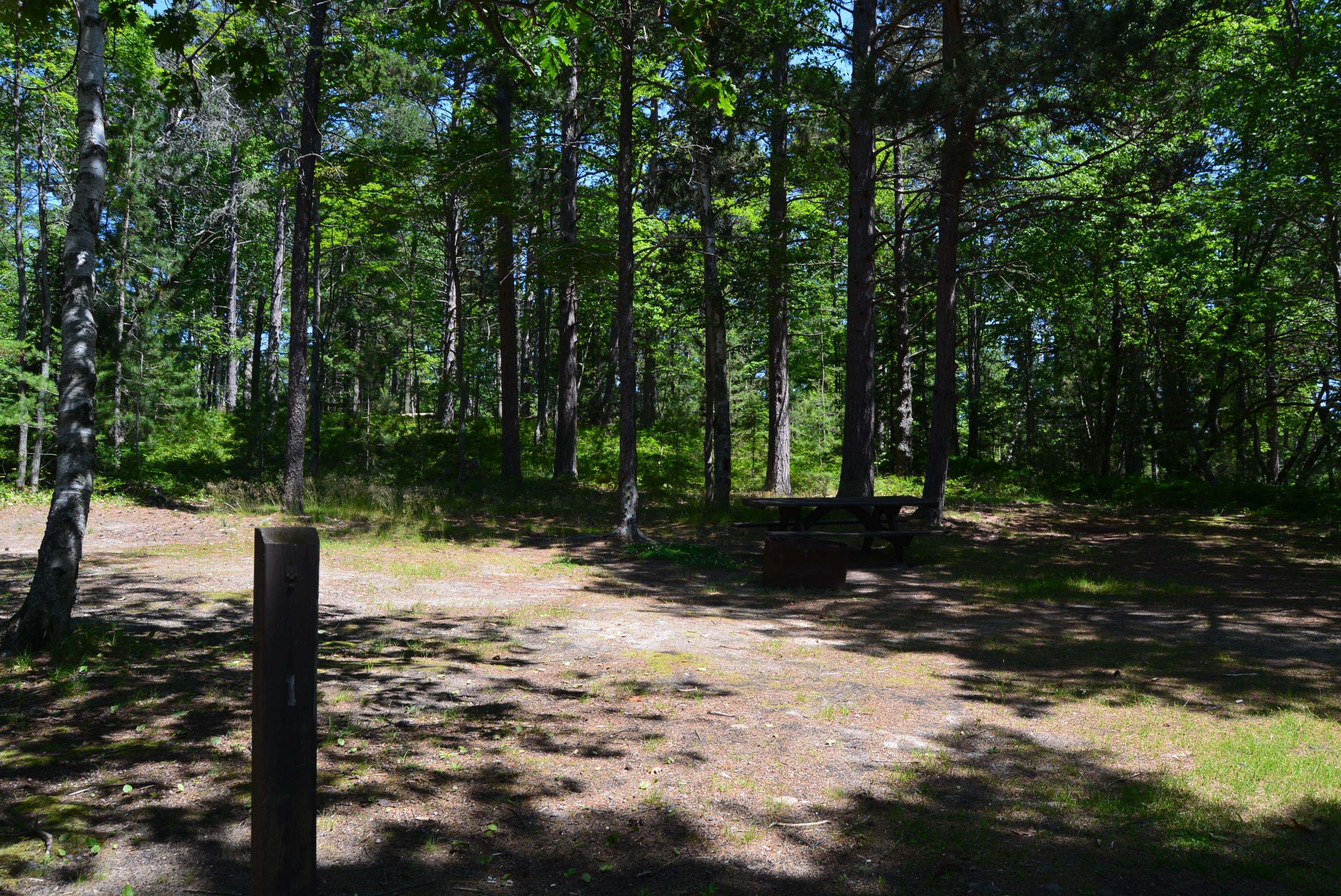 Camper submitted image from Blind Sucker #2 State Forest Campground - 2