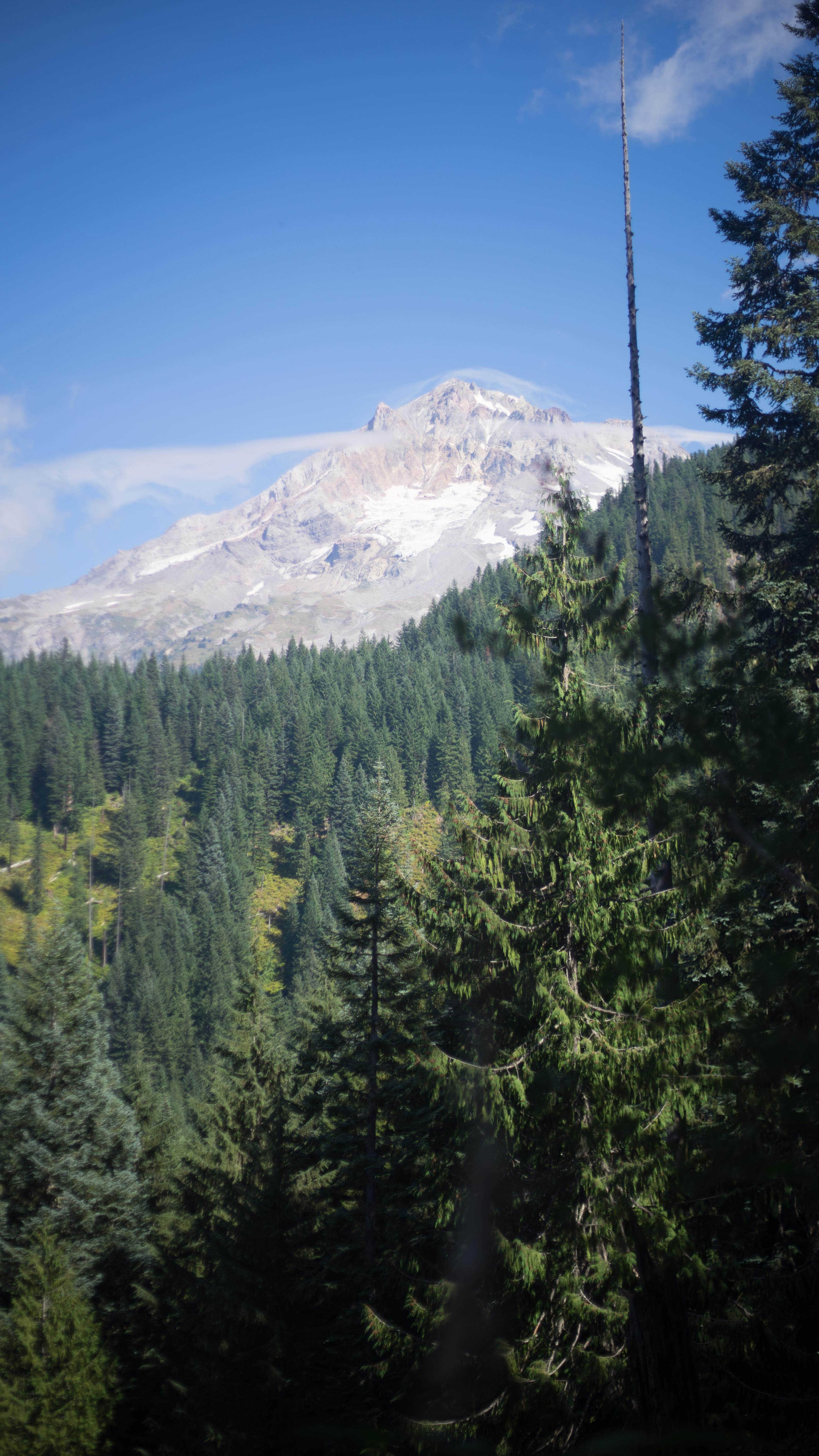 Camper-submitted photo at Burnt Lake near Corbett, OR