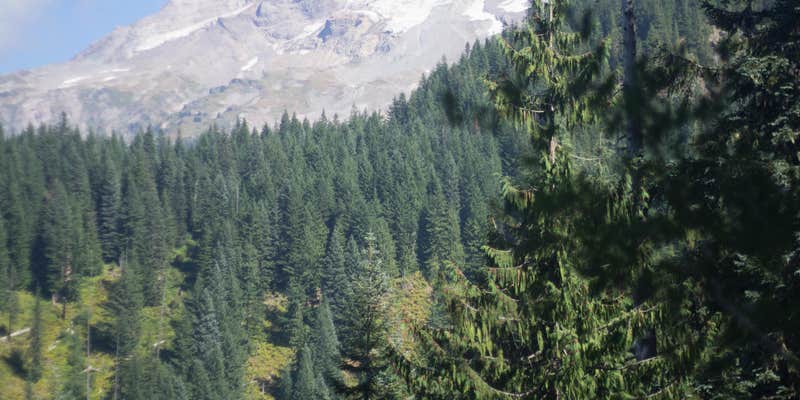 Camper submitted image from Burnt Lake