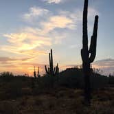Review photo of White Tank Mountain by Chenery K., September 14, 2017